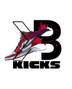 KB Kicks client logo